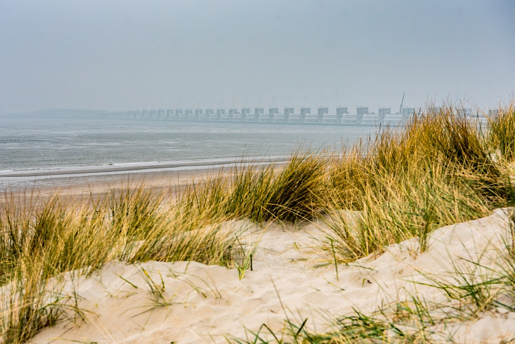 Vaarwel Asverstrooiingen in Dreischor | Uitvaartbegeleider | Transparante dienstverlening