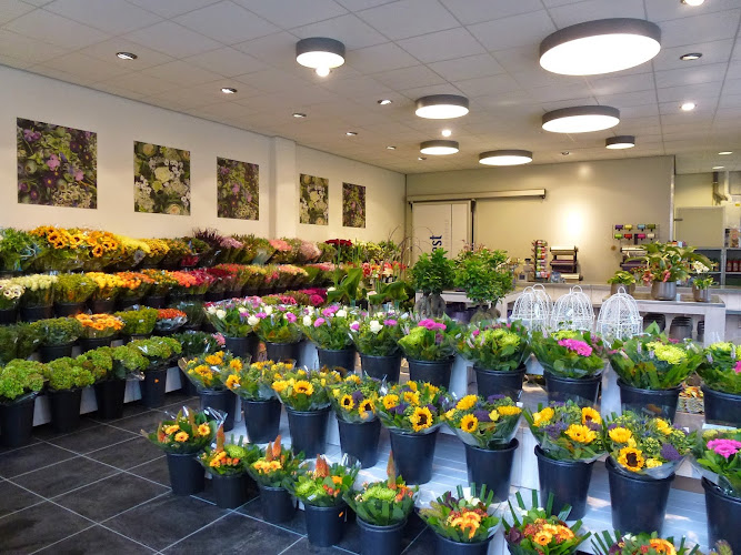Van Beest Bloemen en Planten Eemnes | Bloemist | Vergelijk diensten en tarieven