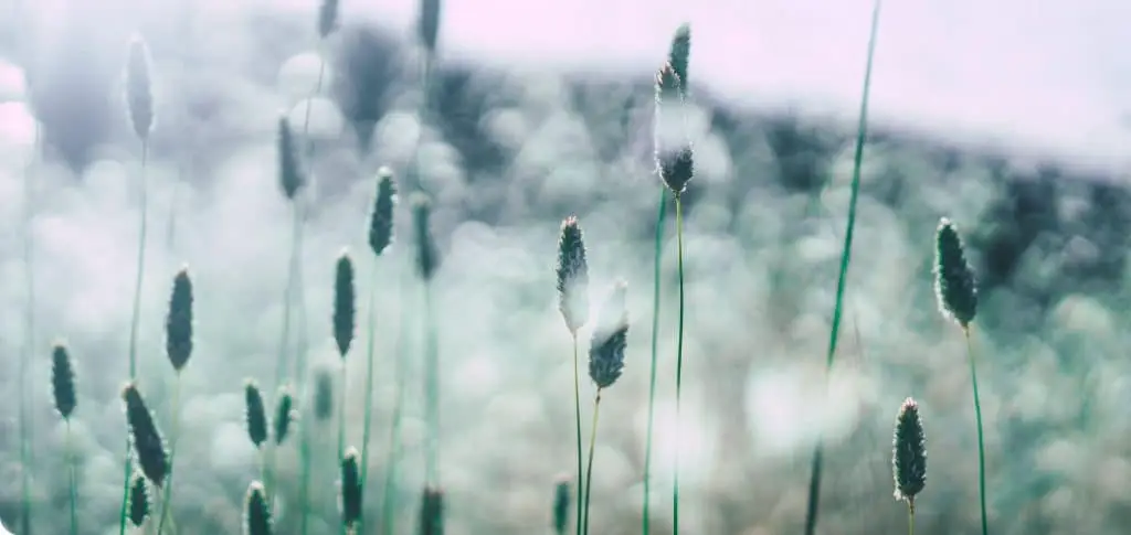Van Eldik Domhof Uitvaartzorg in Varsseveld | Uitvaartbegeleider | Eerlijke vergelijking