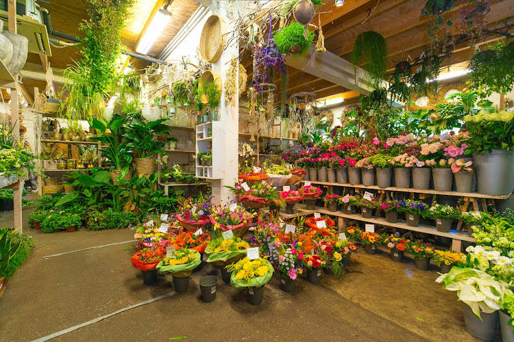 Veldzicht Bloemen in Cothen | Bloemist | Transparante dienstverlening