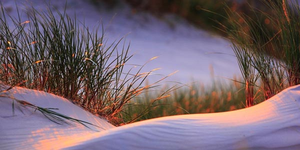 Vergeetmeniet Uitvaartzorg in Tzum | Uitvaartonderneming | Onafhankelijk vergelijker