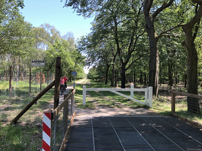 Verstrooiterrein Delhuyzen in Arnhem | Uitvaartzorg | Transparant en eerlijk
