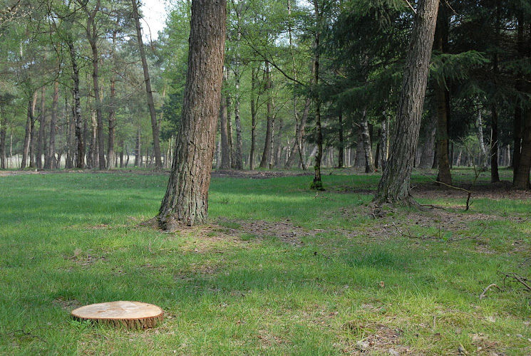 Vertels & Vaarwels Uitvaartverzorging in Hoogland | Uitvaartzorg | Eerlijk en transparant