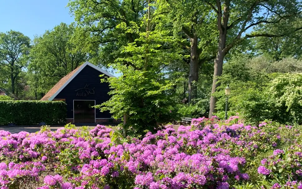Weeink Uitvaartzorg in Haaksbergen | Uitvaartzorg | Vind de juiste uitvaartondernemer