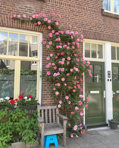 WillemUitvaart in 's-Hertogenbosch | Uitvaartbegeleider | Uw gids voor uitvaarten