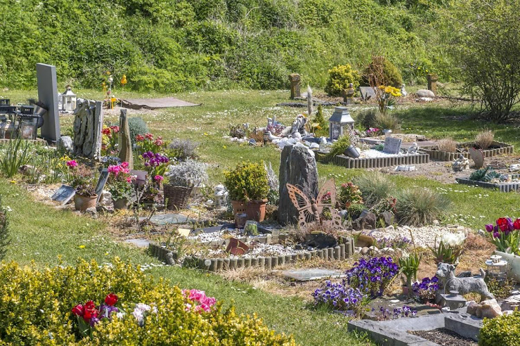 Zandvoort | Uitvaartbegeleider | Eerlijke vergelijking