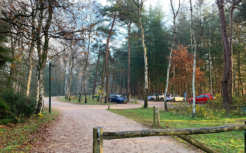 Zara Begrafenissen in Veenendaal | Uitvaartbegeleider | Vind de juiste uitvaartondernemer