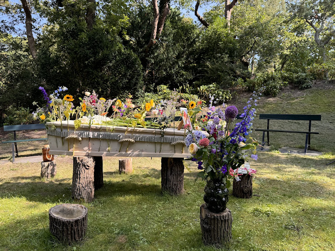 Zonnewende Uitvaartbegeleiding in Haarlem | Uitvaartbegeleider | Vergelijk diensten en tarieven