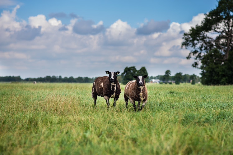 Zorgboerderij de Prikkedaem in Wijnjewoude | Uitvaartbegeleider | Uw zorggids in de regio